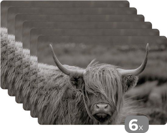 Lot De 6 Sets De Table En Polyester Résistants à La Chaleur