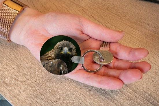 Porte-clés - Aigle - Marron - Oiseau de proie - Plastique - Rond