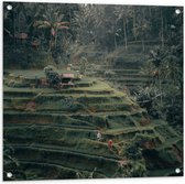 WallClassics - Tuinposter – Landbouwvelden in Bali - 80x80 cm Foto op Tuinposter  (wanddecoratie voor buiten en binnen)