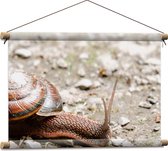 WallClassics - Affiche Textile - Escargot dans le Sable - 60x40 cm Photo sur Textile