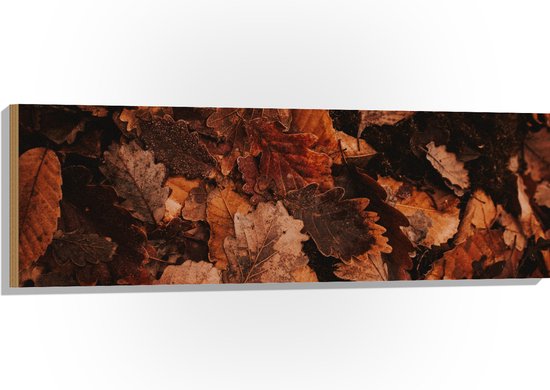 WallClassics - Hout - Herfstbladeren op Hoop - 120x40 cm - 12 mm dik - Foto op Hout (Met Ophangsysteem)
