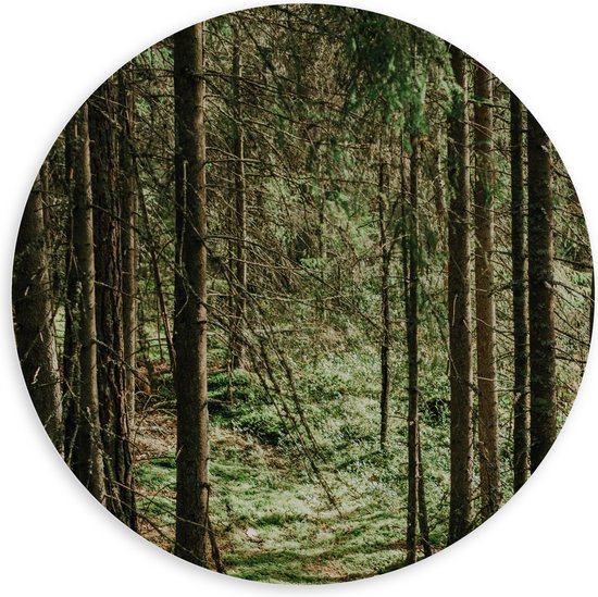WallClassics - PVC Schuimplaat Muurcirkel - Groene Bladeren op de Grond van Bomen - 100x100 cm Foto op Muurcirkel (met ophangsysteem)