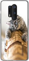 Geschikt voor OnePlus 8 Pro hoesje - Kat - Krabpaal - Grijs - Siliconen Telefoonhoesje