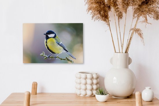 Toile - Peinture - Mésange charbonnière - Vogel - Branche - Mousse - Impression sur toile - Chambre à coucher - 30x20 cm - Intérieur - Décoration murale