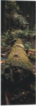 WallClassics - Vlag - Omgevallen Boom - 20x60 cm Foto op Polyester Vlag