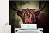 Behang - Fotobehang Schotse hooglander - Licht - Portret - Natuur - Breedte 325 cm x hoogte 260 cm