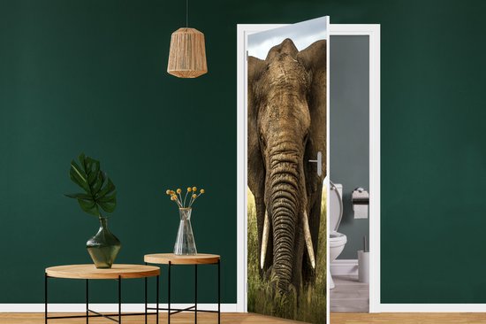 Sticker pour porte Éléphant - Nature - Herbe - Animaux - Paysage - 90x205 cm - Affiche de porte