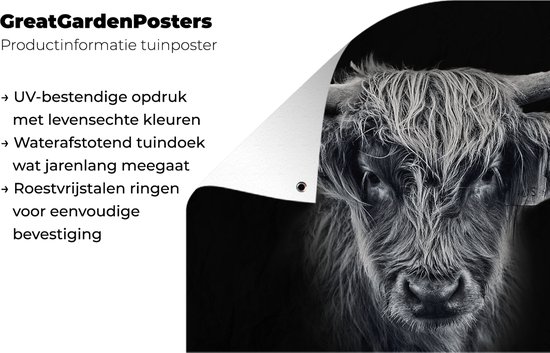 Affiche de jardin Highlander écossais - Zwart - Vache - Animaux - 130x90 cm - Décoration murale extérieure - Affiche de jardin - Toile de jardin - Affiche de clôture - Peinture de jardin