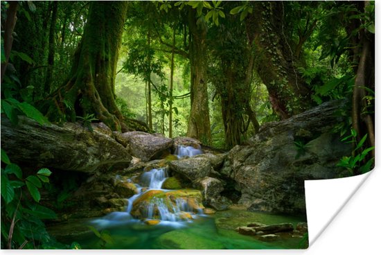 Poster Jungle - Stenen - Water - Natuur - Planten - 120x80 cm - Kerstversiering - Kerstdecoratie voor binnen - Kerstmis