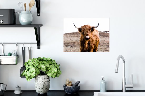 Poster Highlander écossais - Paysage - Vache - Marron - Animaux - Nature - 40x30 cm