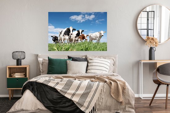 Affiche Vaches - Campagne - Pâturage - Nature - Animaux - 120x80 cm