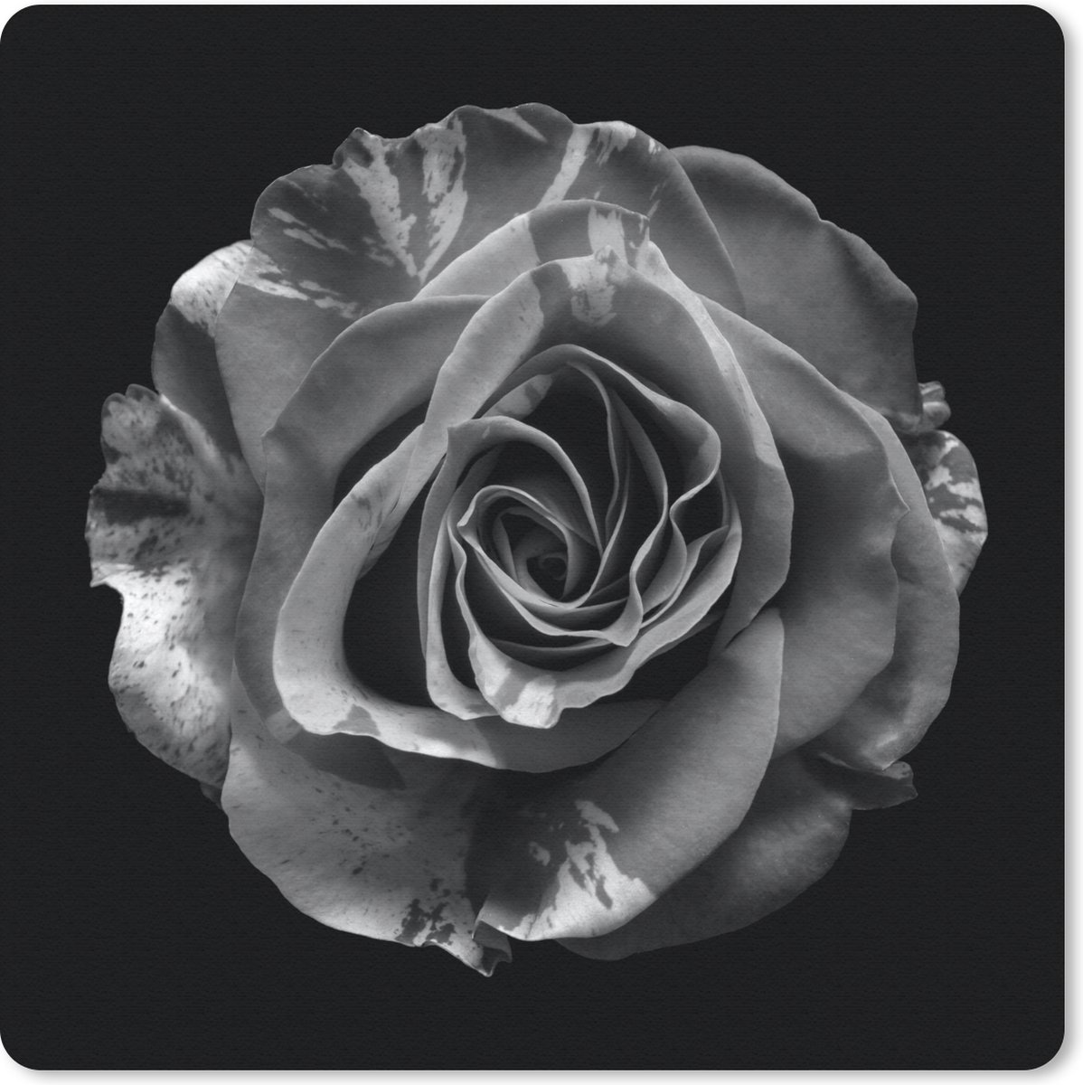 Muismat 20x20 cm - Mousepad Bloemen - Roos - Zwart - Wit - Botanisch - Muismatten