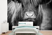 Behang - Fotobehang Schotse hooglander - Koe - Zwart - Wit - Dieren - Breedte 420 cm x hoogte 280 cm