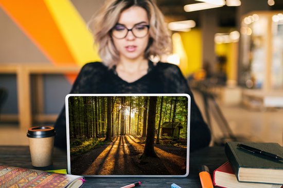 Autocollant pour ordinateur portable - 13,3 pouces - Soleil - Arbres - Forêt - Paysage - Nature - 31x22,5 cm - Autocollants pour ordinateur portable - Skin pour ordinateur portable - Housse