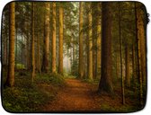 Housse ordinateur portable 15,6 pouces - Forêt - Nature - Arbres - Paysage - Feuilles - Housse ordinateur portable - Dimensions intérieures 39,5x29,5 cm