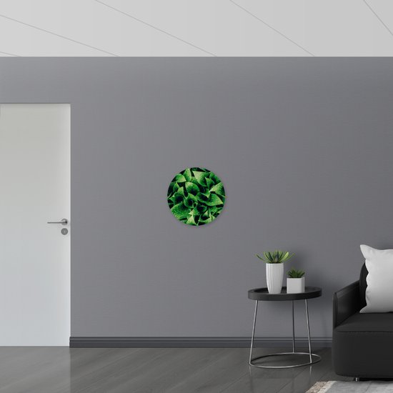 WallClassics - Plaque Mousse PVC Cercle Mural - Gros Plan Gouttes d'Eau sur Plante Verte - Photo 50x50 cm sur Cercle Mural (avec système d'accrochage)
