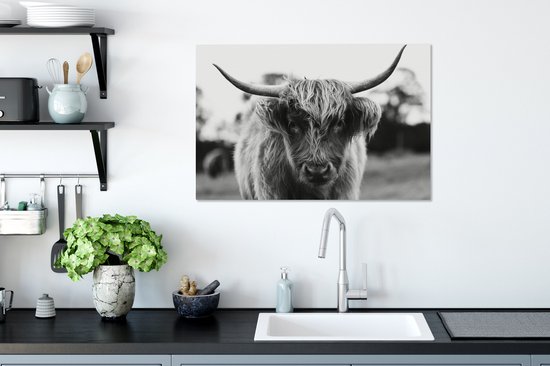 Tableau sur Toile Scottish Highlander - Vache - Herbe - Animaux - Nature - 60x40 cm - Décoration murale