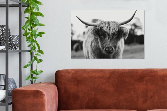 Tableau sur Toile Scottish Highlander - Vache - Herbe - Animaux - Nature - 60x40 cm - Décoration murale
