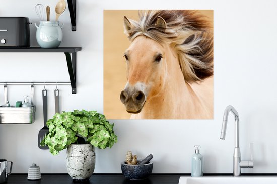 Affiche Paarden - Animaux - Crinières - Portrait - 50x50 cm