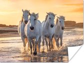 Poster Paarden - Water - Strand - Dieren - 120x90 cm