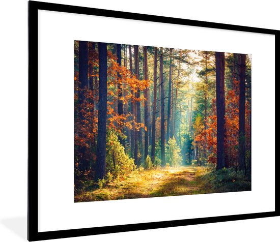 PosterMonkey - Cadre photo - Forêt - Feuilles - Nature - Automne - Affiche - Cadre - 80x60 cm - Cadre pour affiche - Affiche forêt - Cadre photo - Affiche nature - Décorations de Noël de Noël pour intérieur - Noël