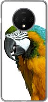 Geschikt voor OnePlus 7T hoesje - Papegaai - Vogel - Veren - Portret - Siliconen Telefoonhoesje