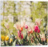 WallClassics - Tuinposter – Mix van gekleurde Bloemen in Landschap - 80x80 cm Foto op Tuinposter  (wanddecoratie voor buiten en binnen)