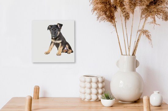 Assis sur toile de chiot berger allemand 2cm 20x20 cm - petit - Tirage photo sur toile (Décoration murale salon / chambre) / Peintures sur toile pour Animaux domestiques