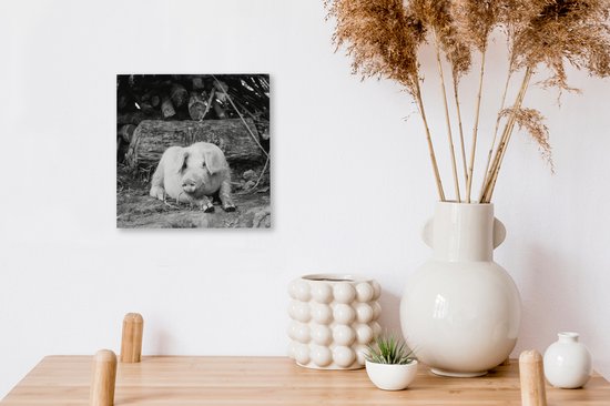 Cochon couché en toile noire et blanche 2cm