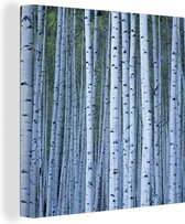 Toile de troncs d'arbre Witte 2cm 20x20 cm - petit - Tirage photo sur toile (Décoration murale salon / chambre)