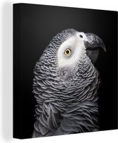 Gros plan perroquet gris 20x20 cm - petit - Tirage photo sur toile (Décoration murale salon / chambre)