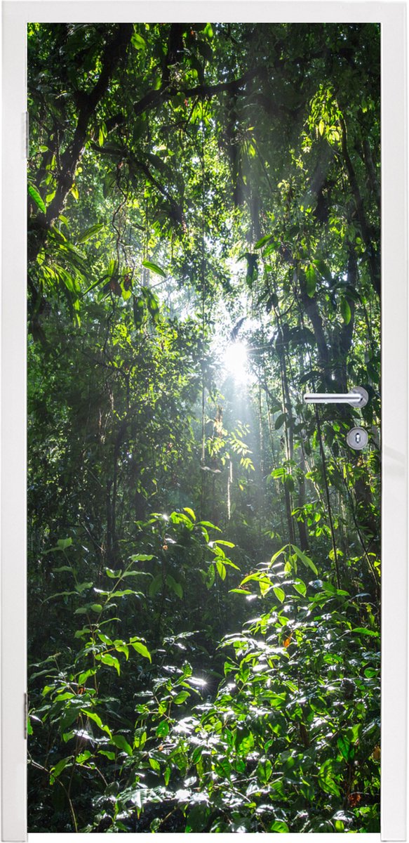Deurposter 90x215 cm - Deursticker Zon breekt door bladerdek, Costa Rica - Meubelfolie zel
