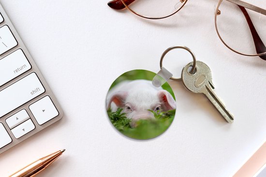 Porte-clés - Cochon - Animaux - Porcinet - Plastique - Rond - Distribution cadeaux