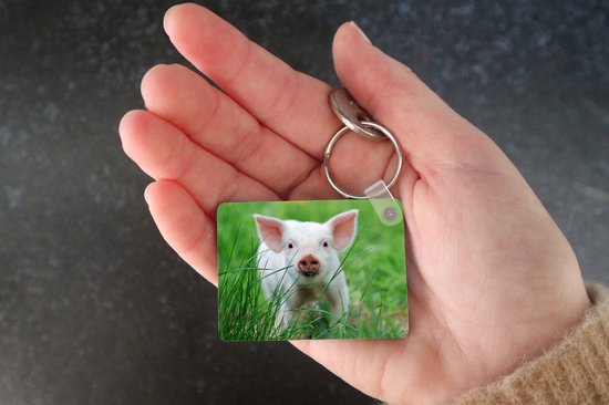 Porte-clés - Cochon - Animaux - Porcelet - Distribution de cadeaux - Plastique