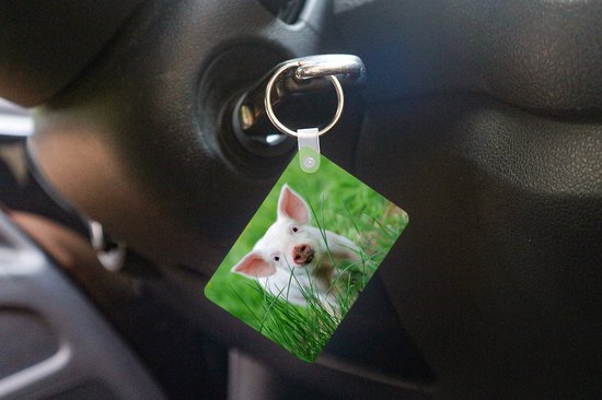Porte-clés - Cochon - Animaux - Porcelet - Distribution de cadeaux - Plastique