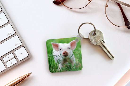 Porte-clés - Cadeaux - Cochon - Animaux - Porcelet - Plastique