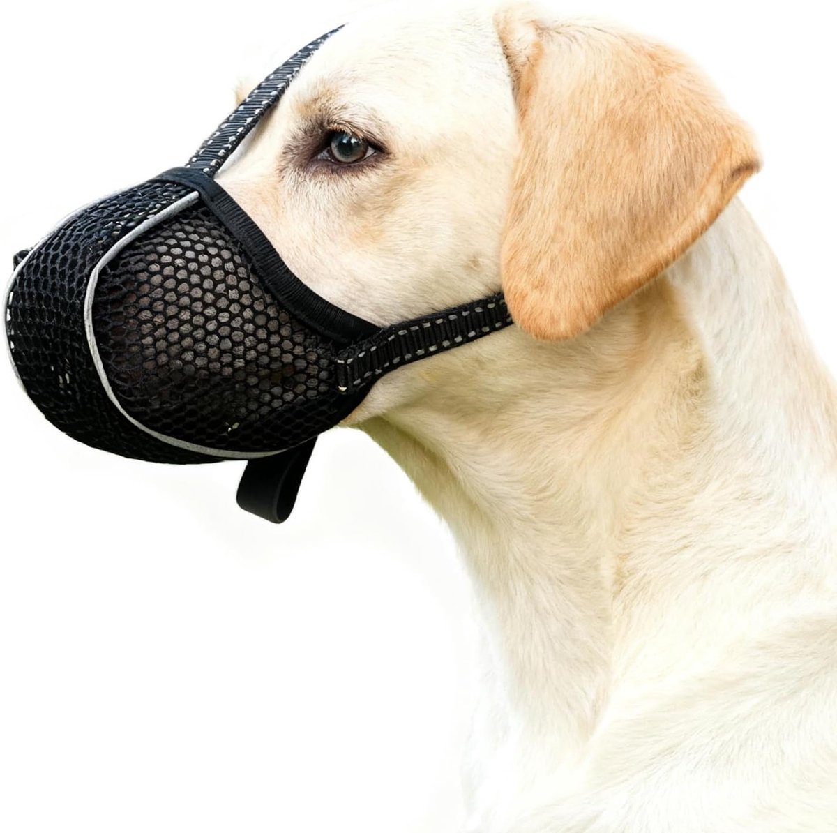 Zachte Net-Muilkorf voor Kleine, Middelgrote en Grote Honden, Ademend en Reflecterend, tegen Bijten, Likken, Kauwen en Foerageren (XL, Zwart)