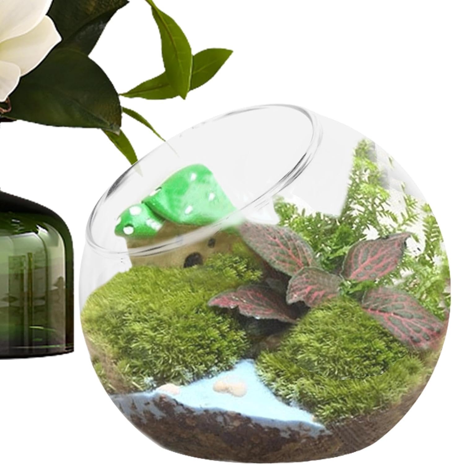 Terrarium multifunctioneel glas voor decoratie thuis en evenementen