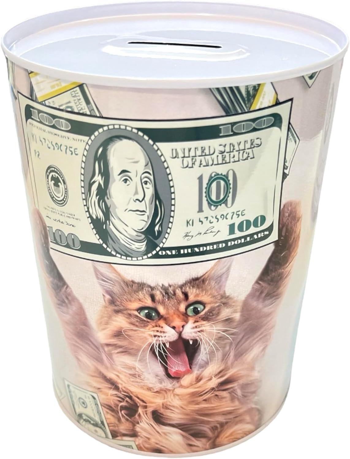 Spaarpot met stijl en boodschap, grote spaarpot voor volwassenen, spaarpot, cadeau, spaarpot XL (12 x 9 cm, kat Money Lover)