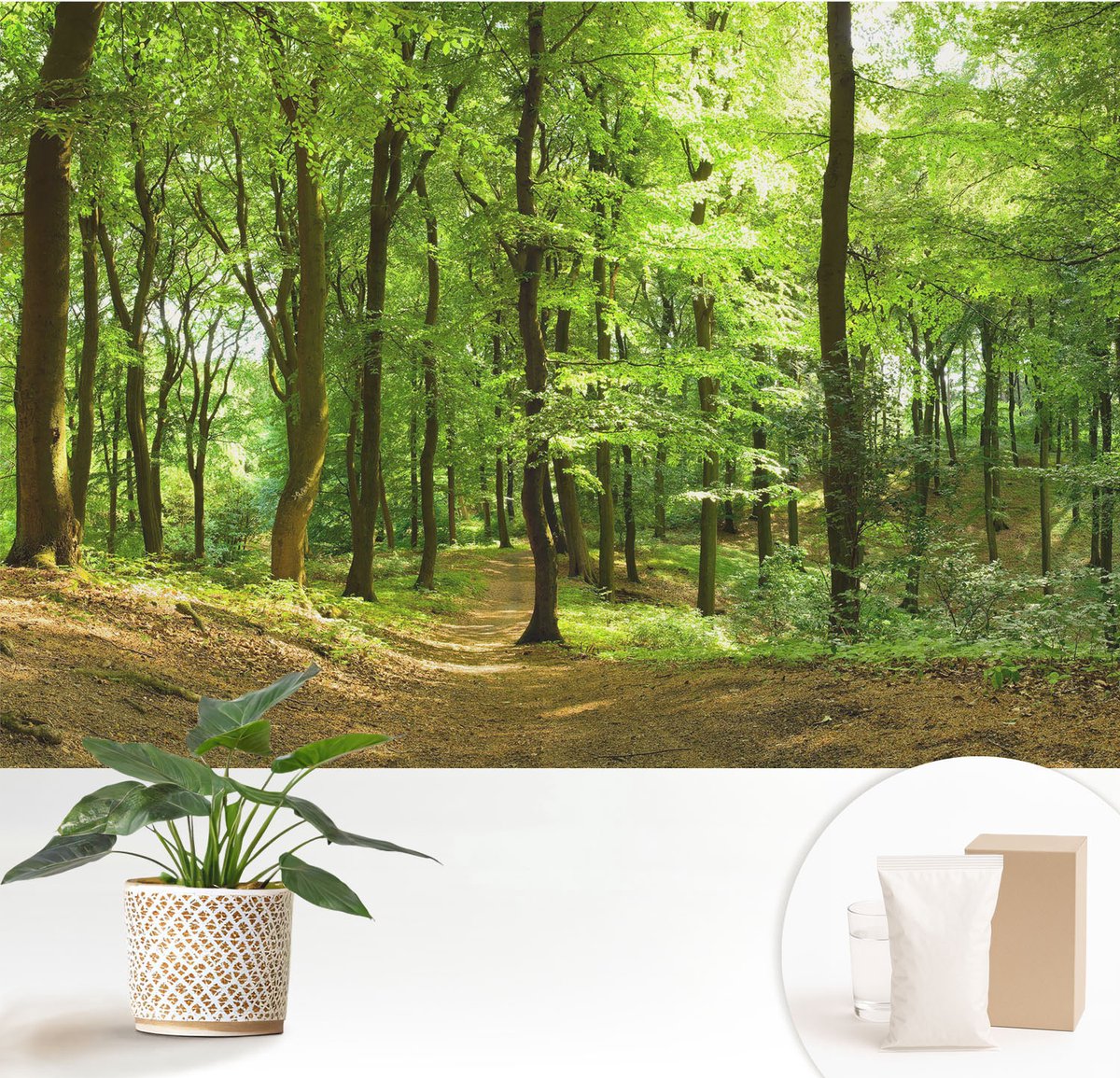 Wallfluent Fotobehang - Groente Vliesbehang - 152x104 cm - Natuurlijk Pad Fotobehang Vlies - Woonkamer behang Landschappen - Muurschildering - Woonkamer behang