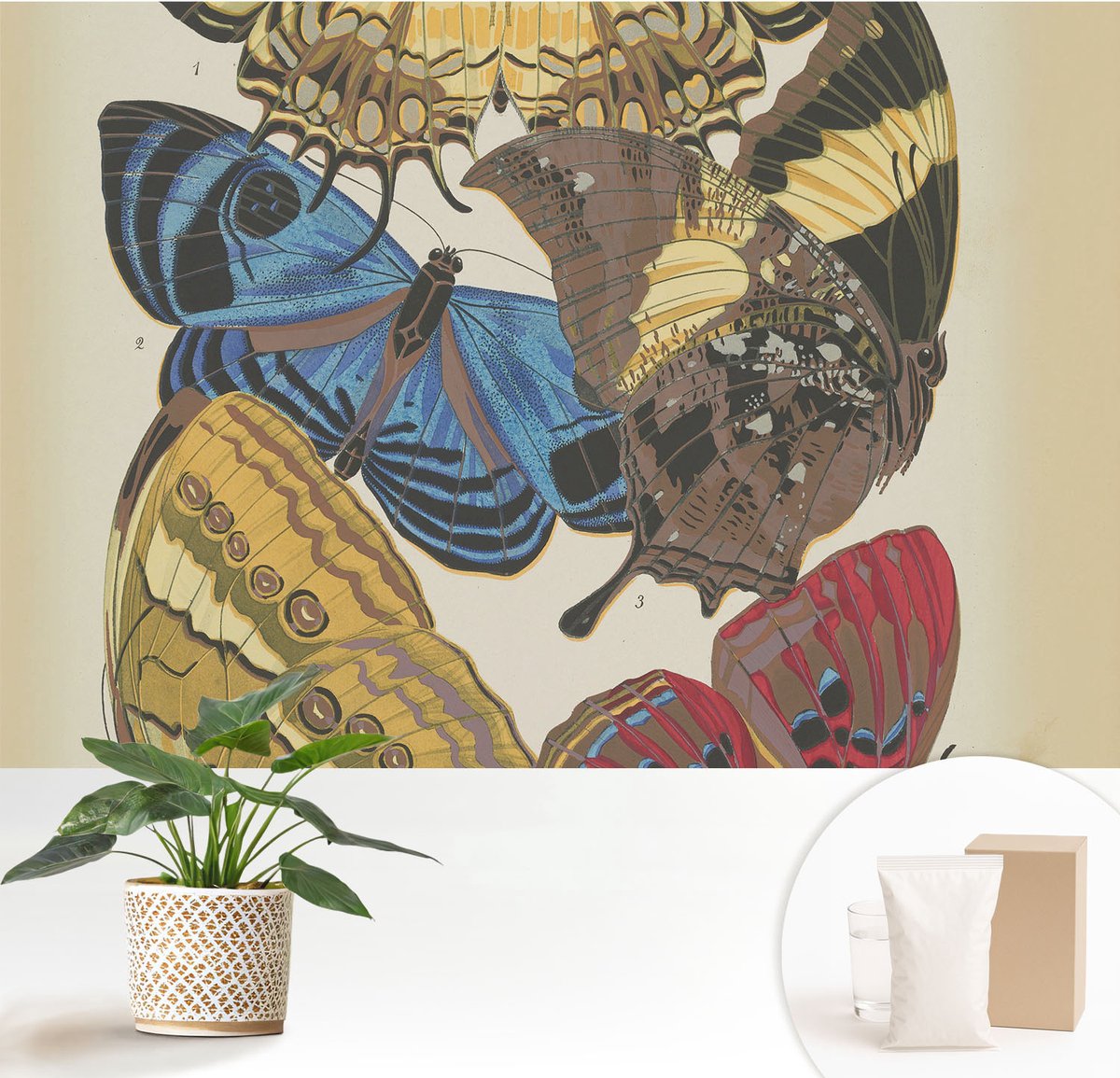 Wallfluent Fotobehang - Zwart Vliesbehang - 152x104 cm - Vlinders Als Inspiratiebron Fotobehang Vlies - Hal behang Bloemen En Planten - Muurschildering - Woonkamer behang