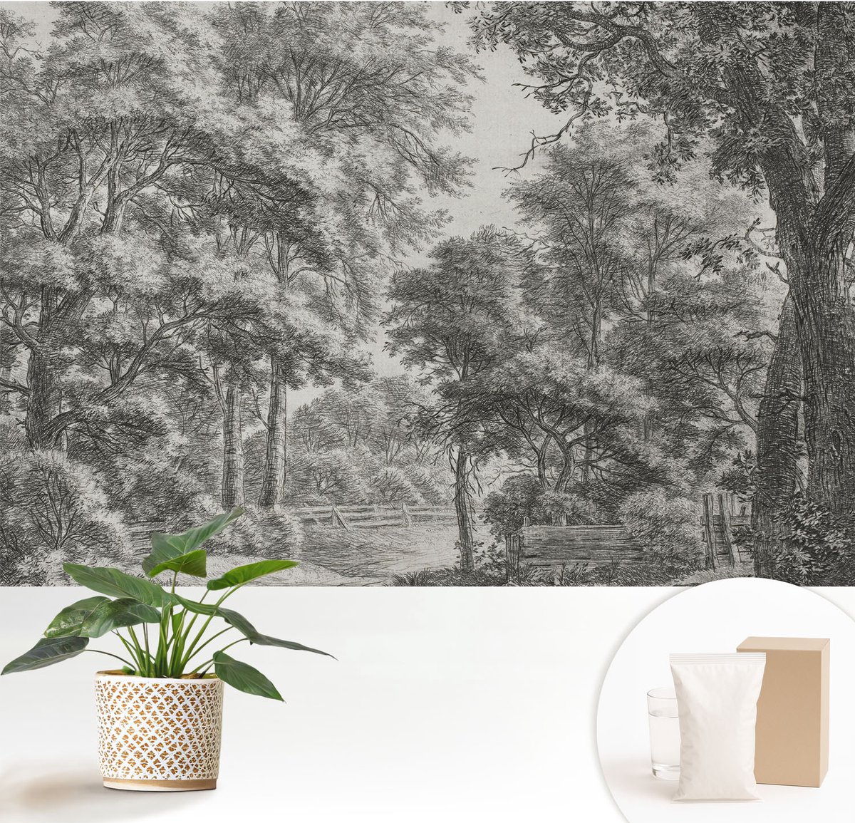 Wallfluent Fotobehang - Zwart-Wit Vliesbehang - 152x104 cm - Boslandschap Fotobehang Vlies - Woonkamer behang Landschappen - Muurschildering - Hal behang