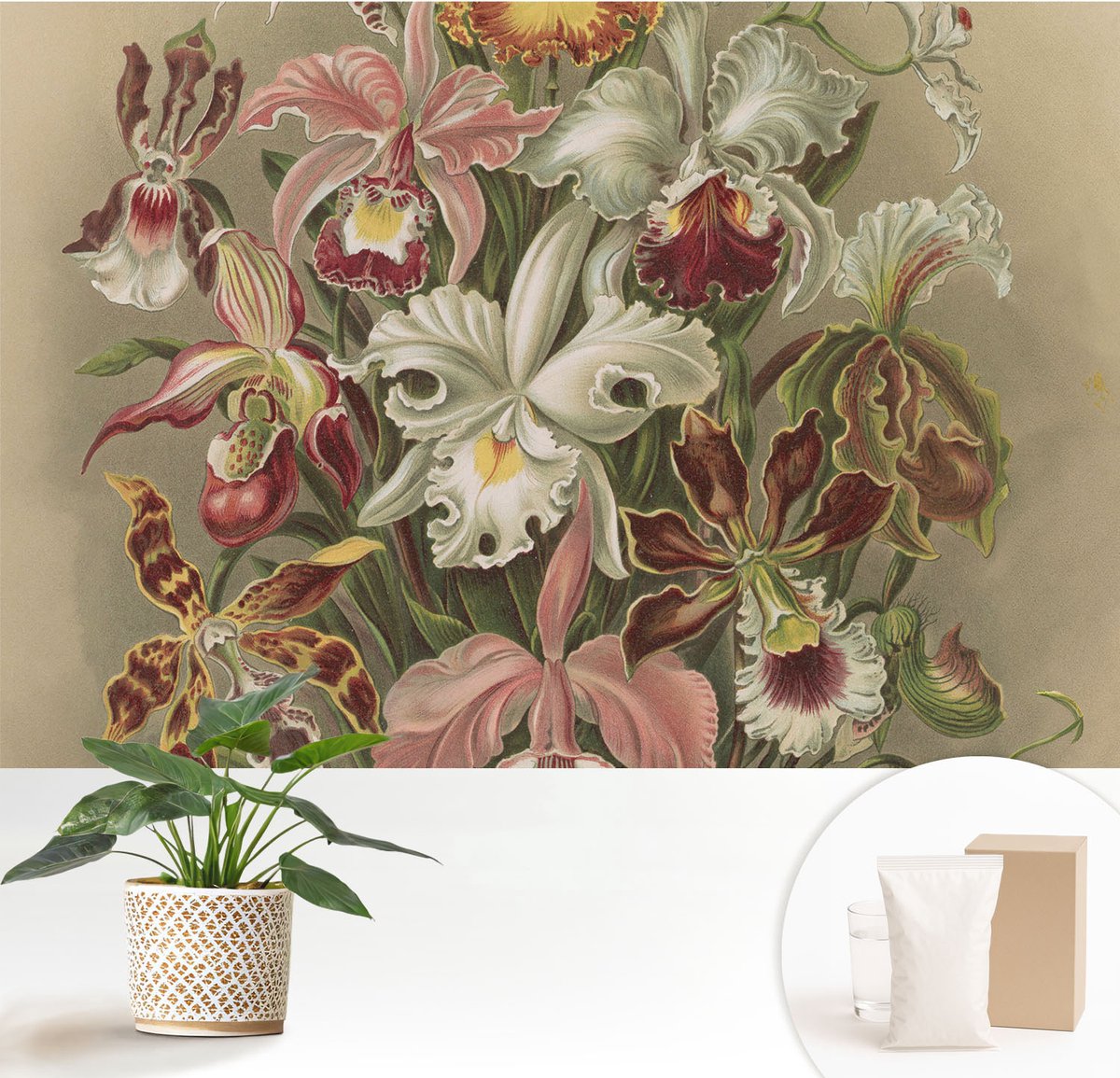 Wallfluent Fotobehang - Groente Vliesbehang - 152x104 cm - Bloemige Elegantie Muurschildering - Gang behang Bloemen En Planten - Fotobehang Vlies - Slaapkamer behang