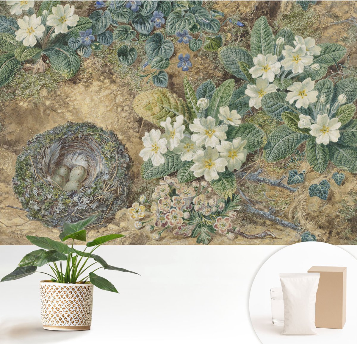 Wallfluent Fotobehang - Wit Vliesbehang - 152x104 cm - Lente Compositie Fotobehang Vlies - Woonkamer behang Bloemen En Planten - Muurschildering - Woonkamer behang