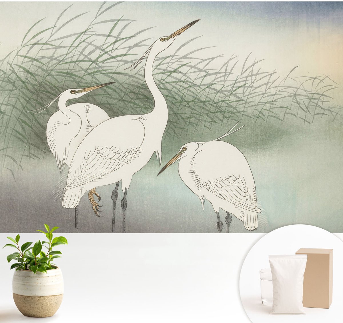 Wallfluent Fotobehang - Wit Vliesbehang - 104x70 cm - Reigers In Het Gras Fotobehang Vlies - Hal behang Dieren - Muurschildering - Hal behang