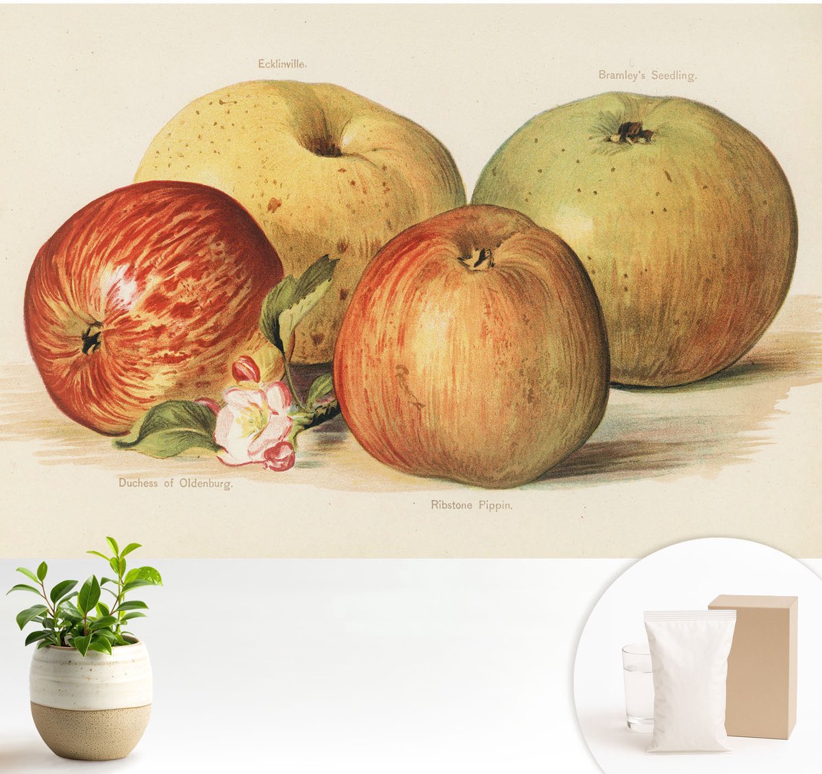 Wallfluent Fotobehang - Geel Vliesbehang - 104x70 cm - Appelbloesems Muurschildering - Gang behang Voedsel - Fotobehang Vlies - Slaapkamer behang