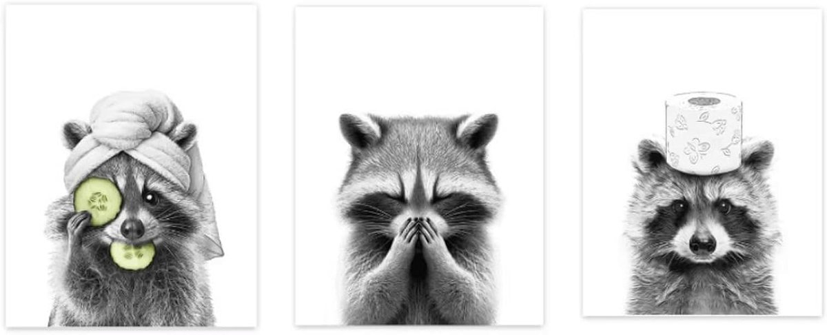 Iirlvior Pack of 3 Raccoon Wall Decorations 30x20cm Funny Raccoon Wall Decor Posters for Bathroom Cute Raccoon - ShopVlot