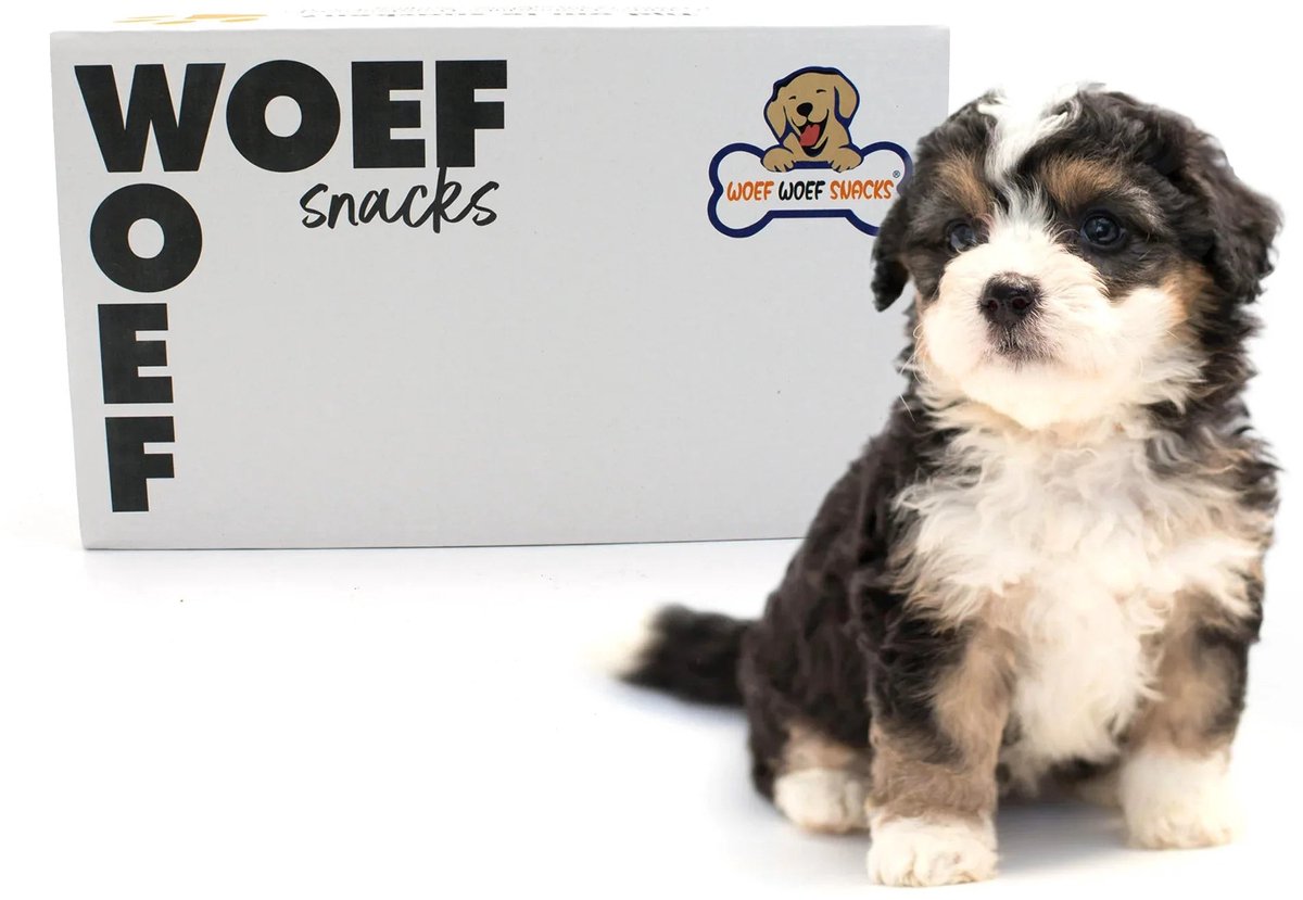 Woef Woef Snacks Hondensnacks Puppy Box - 1.00 KG - Kauwsnacks - Trainers - Gedroogd vlees - Diverse smaken - Alle honden en alle leeftijden vanaf 2 maanden - Geen toevoegingen