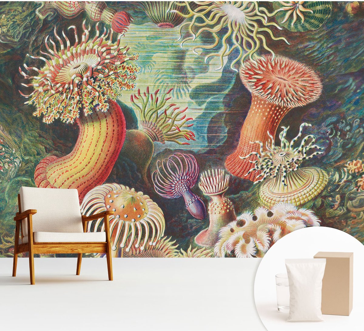 Wallfluent Fotobehang - Groente Vliesbehang - 312x219 cm - Sierlijke Zeeanemonen Fotobehang Vlies - Woonkamer behang Deel - Muurschildering - Woonkamer behang
