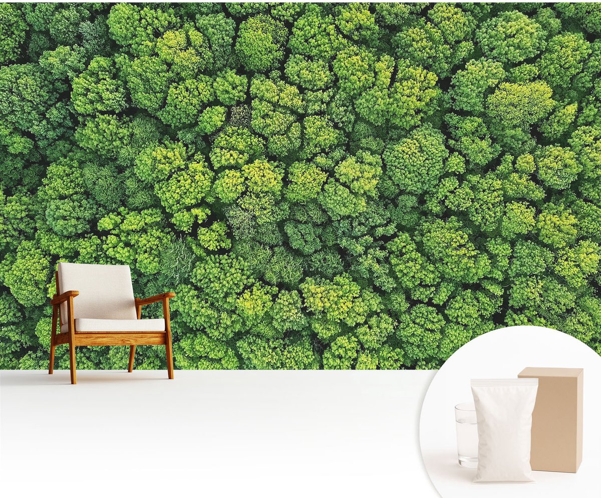 Wallfluent Fotobehang - Groente Vliesbehang - 416x254 cm - Bospanorama Muurschildering - Gang behang Landschappen - Fotobehang Vlies - Gang behang